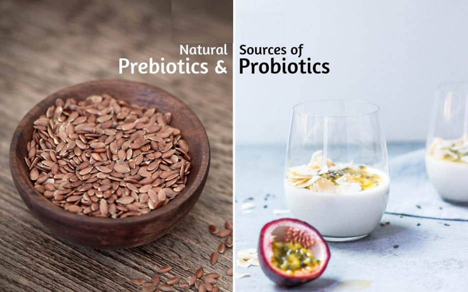 What are prebiotics and probiotics? How beneficial for our health?