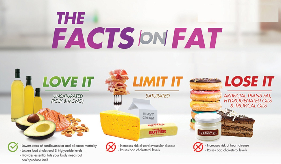 Facts about fat: What’s Good and What’s Bad for Health? 1 image 5 1