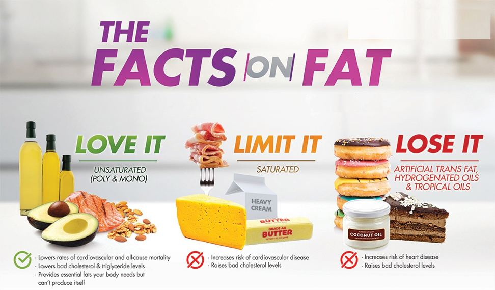 Facts about fat: What’s Good and What’s Bad for Health?