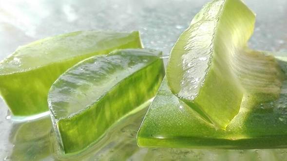 10 Superfoods for Type 2 Diabetes 8 image 4 1