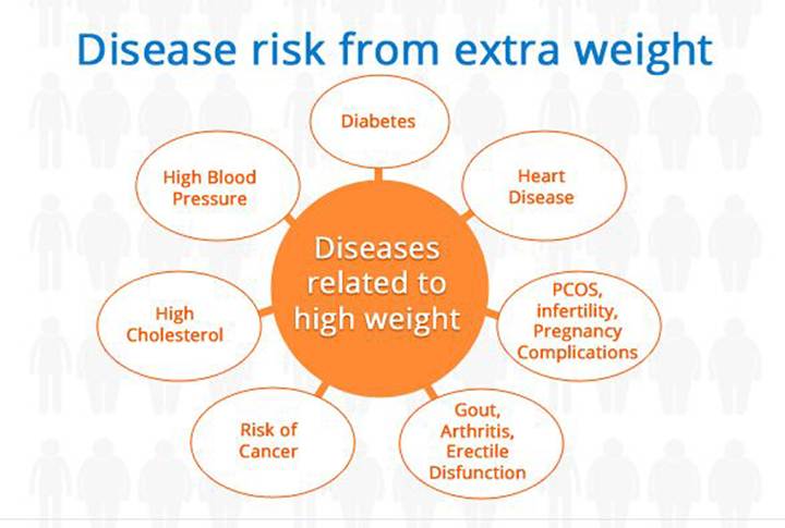 Diet and Lifestyle Changes for Obesity 2 image 1