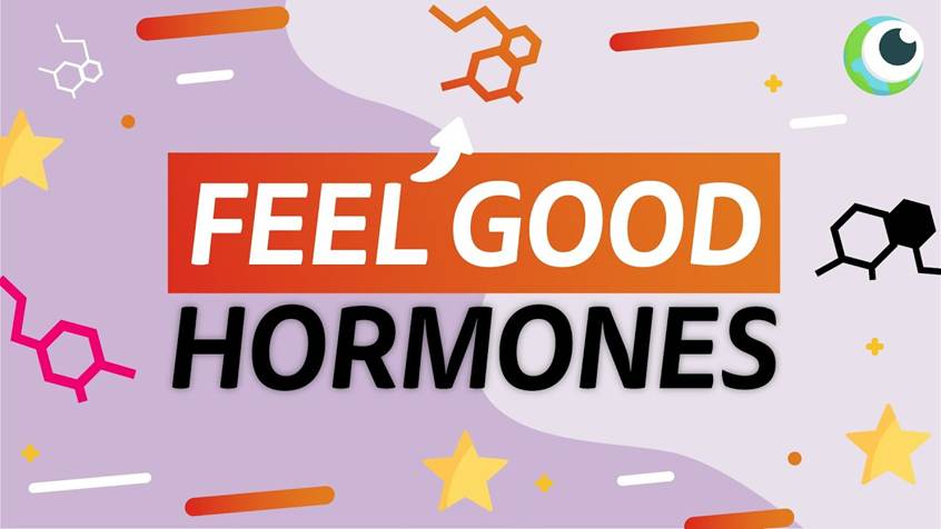 Five Happy Hormones and How to Boost Them Naturally