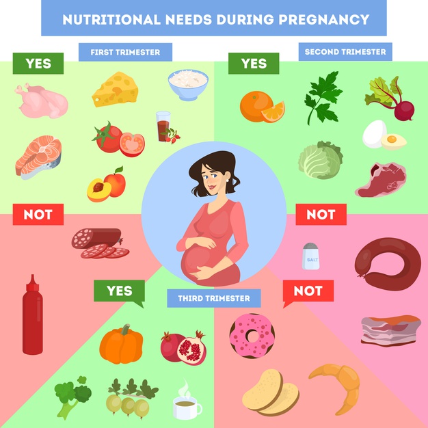 Nutritional Requirements for a Pregnant Woman 3 image 10