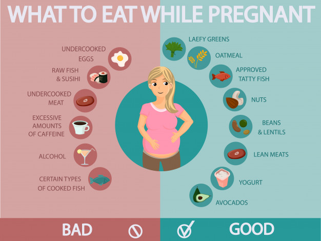 Nutritional Requirements for a Pregnant Woman 4 image 12