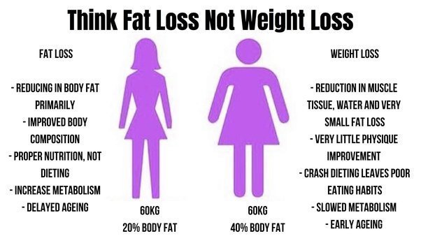 Weight Loss vs Fat Loss: The Difference 1 image